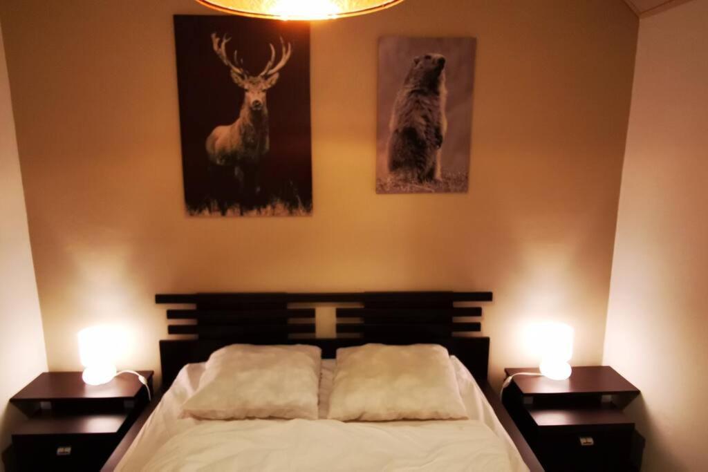 Le Picoulet : Appartement Tout Confort Coeur De Village Allos Buitenkant foto